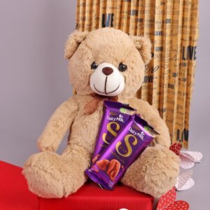 Chocolate & Teddy Combo