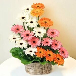 Sunshine Gerbera Basket