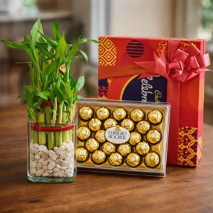 Plant & Chocolate Gift Set