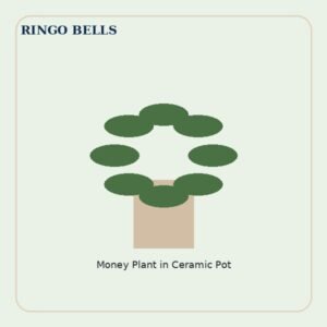Money Plant in Ceramic Pot